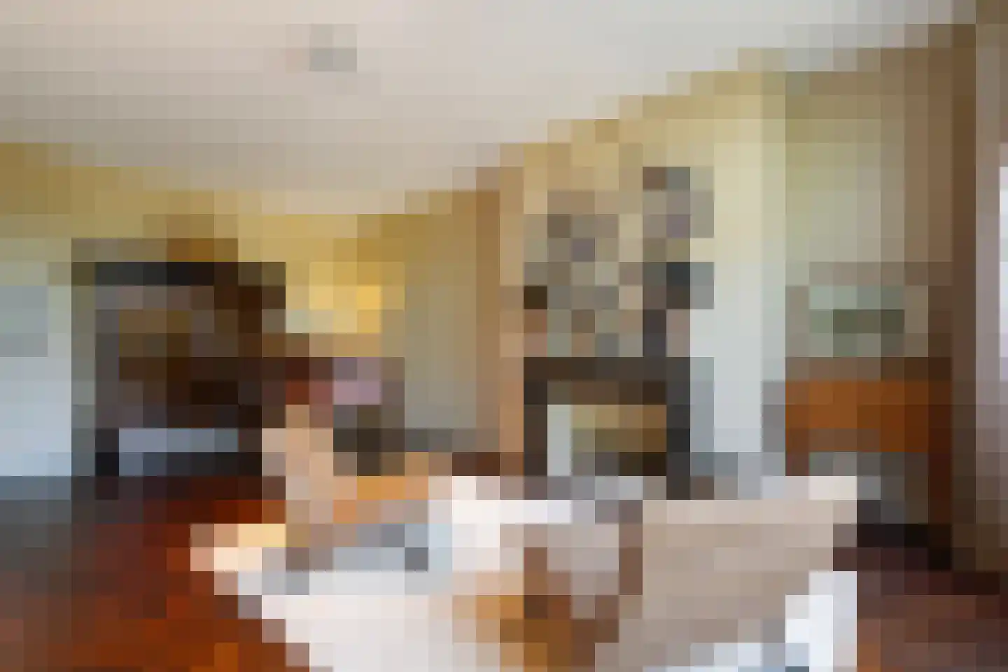 Oranje Nassaulaan 41 Amsterdam thumbnail 34