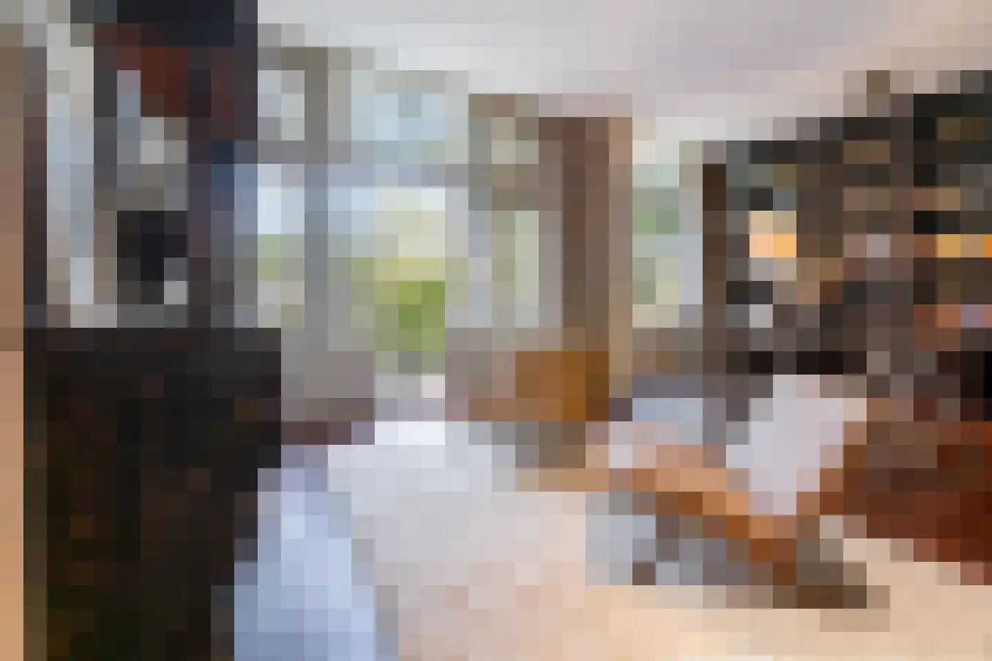 Oranje Nassaulaan 41 Amsterdam thumbnail 35