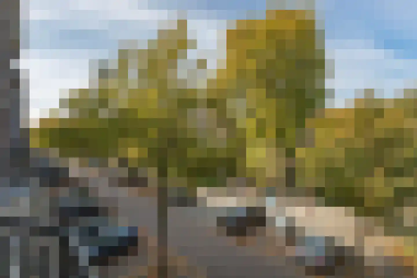 Oranje Nassaulaan 41 Amsterdam thumbnail 36