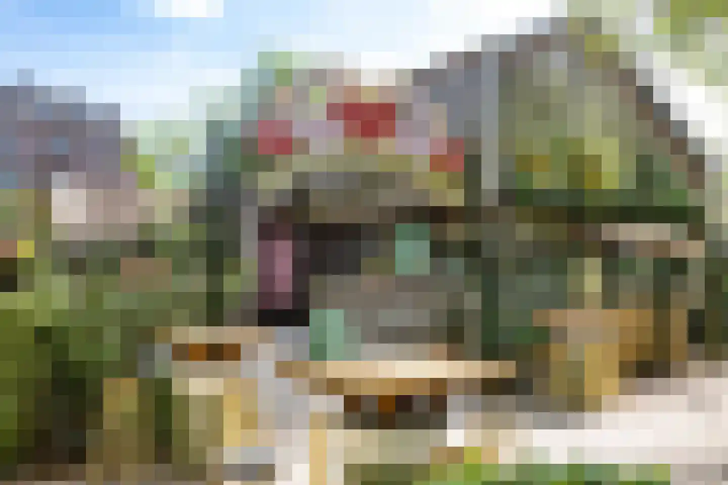 Oranje Nassaulaan 41 Amsterdam thumbnail 49