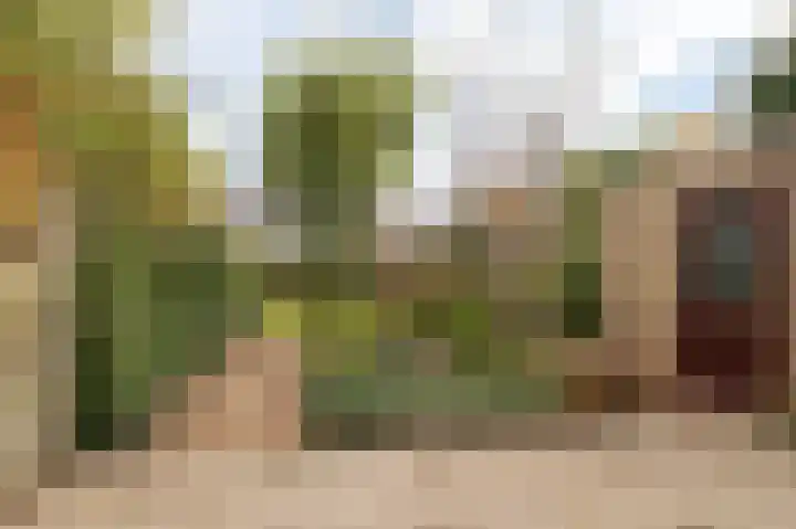Oranje Nassaulaan 42 Culemborg thumbnail 19