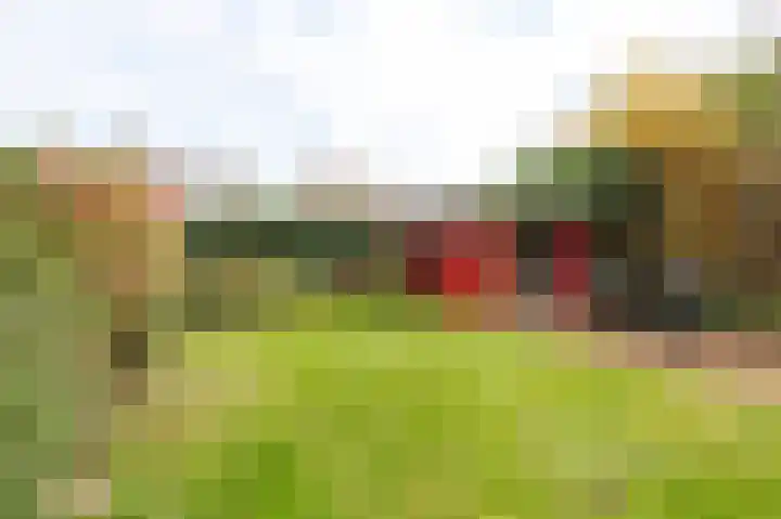 Oranje Nassaulaan 42 Culemborg thumbnail 20