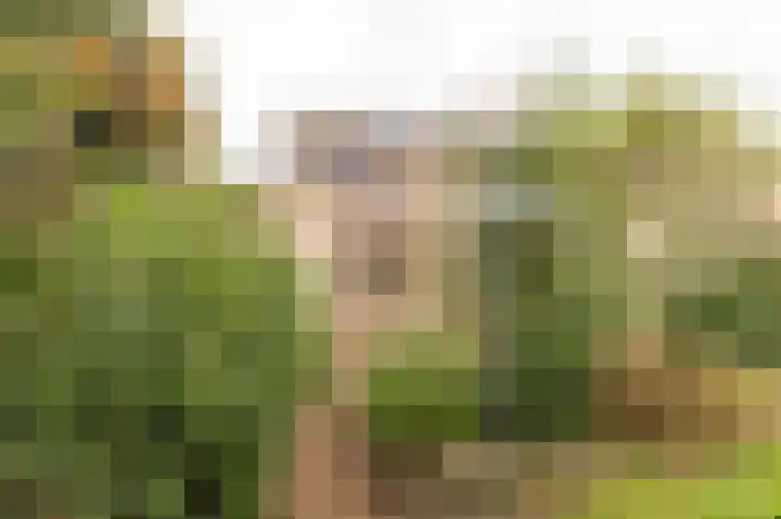 Oranje Nassaulaan 42 Culemborg thumbnail 21