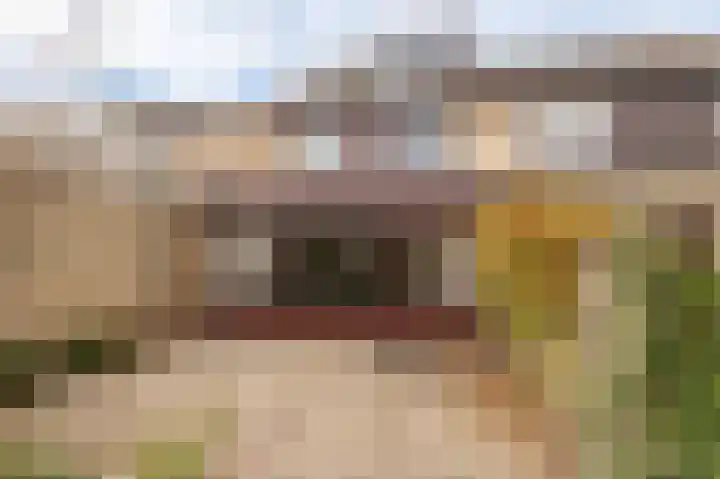 Oranje Nassaulaan 42 Culemborg thumbnail 23