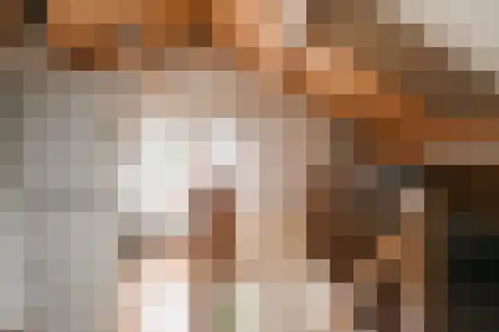 Oranje Nassaulaan 42 Culemborg thumbnail 38