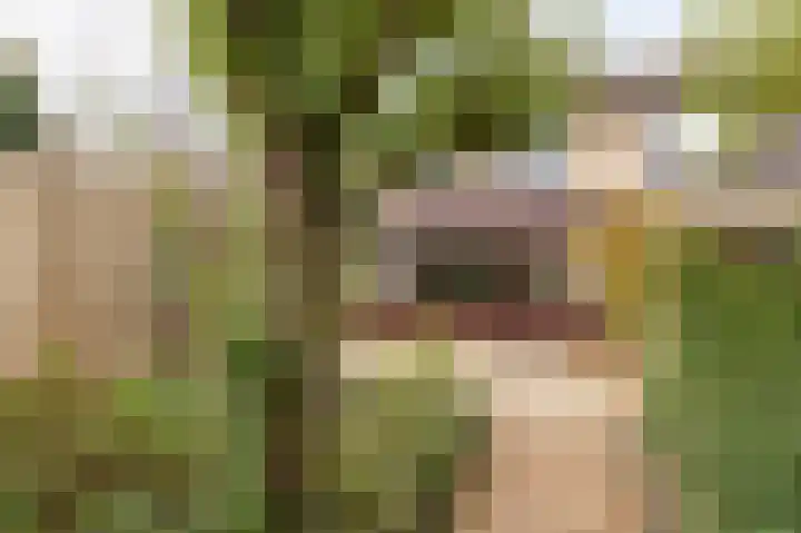 Oranje Nassaulaan 42 Culemborg thumbnail 4