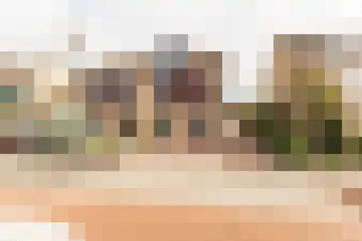 Oranje Nassaulaan 42 Culemborg thumbnail 43