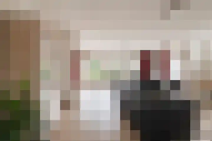 Oranje Nassaulaan 42 Culemborg thumbnail 5