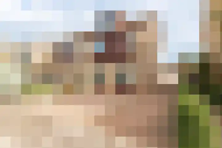 Oranje Nassaulaan 42 Culemborg thumbnail 7