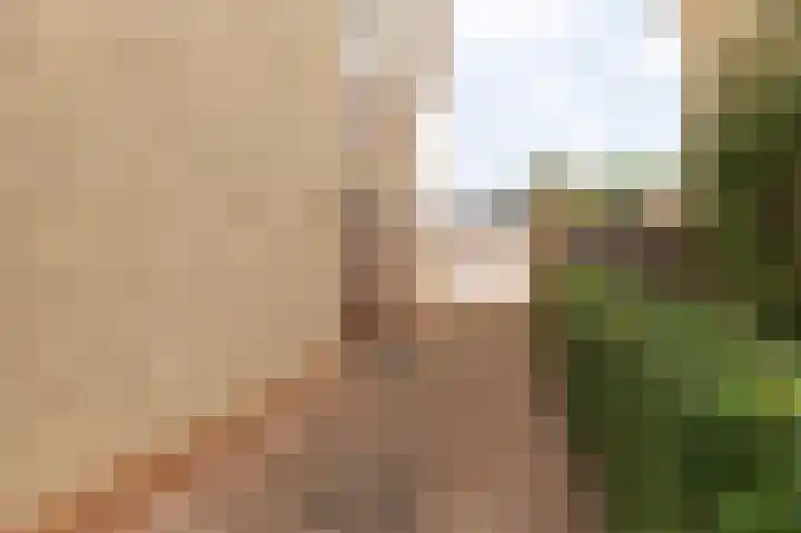 Oranje Nassaulaan 42 Culemborg thumbnail 9