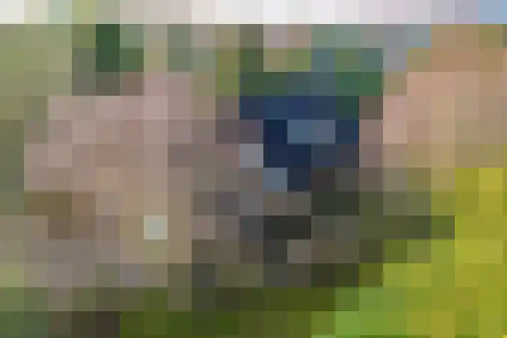 Oranje Nassaulaan 5 Andijk thumbnail 10