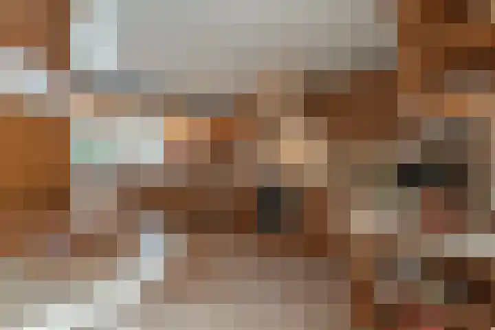 Oranje Nassaulaan 5 Andijk thumbnail 17