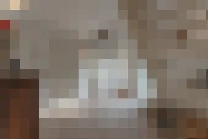 Oranje Nassaulaan 5 Andijk thumbnail 24