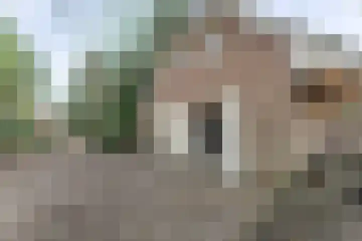 Oranje Nassaulaan 5 Andijk thumbnail 49