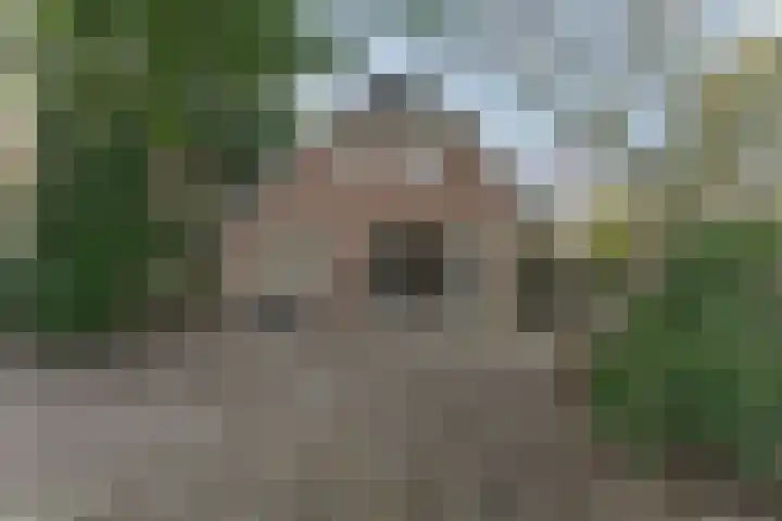 Oranje Nassaulaan 5 Andijk thumbnail 50