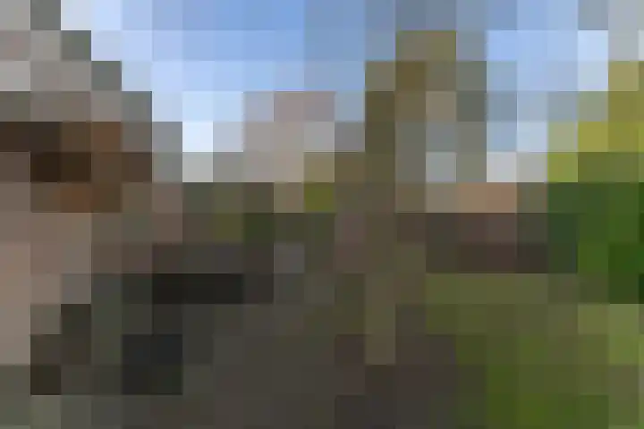 Oranje Nassaulaan 5 Andijk thumbnail 52