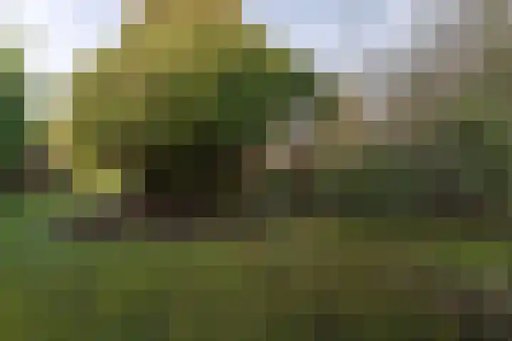 Oranje Nassaulaan 5 Andijk thumbnail 53