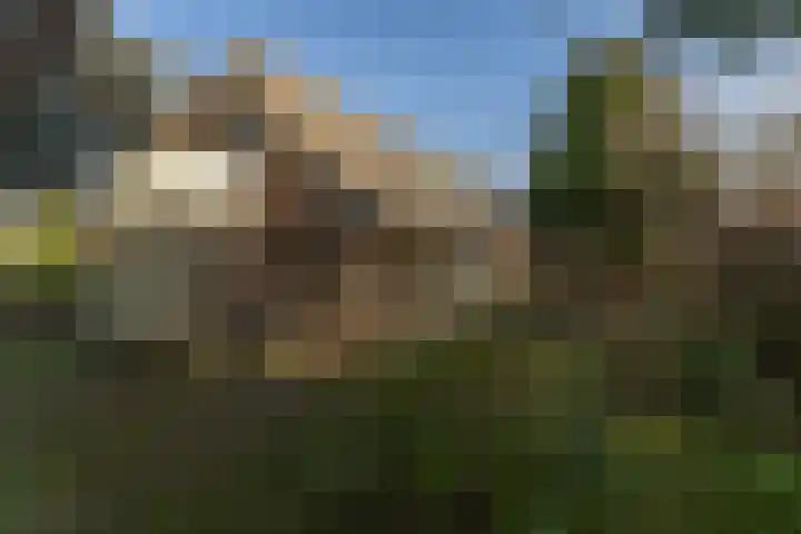 Oranje Nassaulaan 5 Andijk thumbnail 55