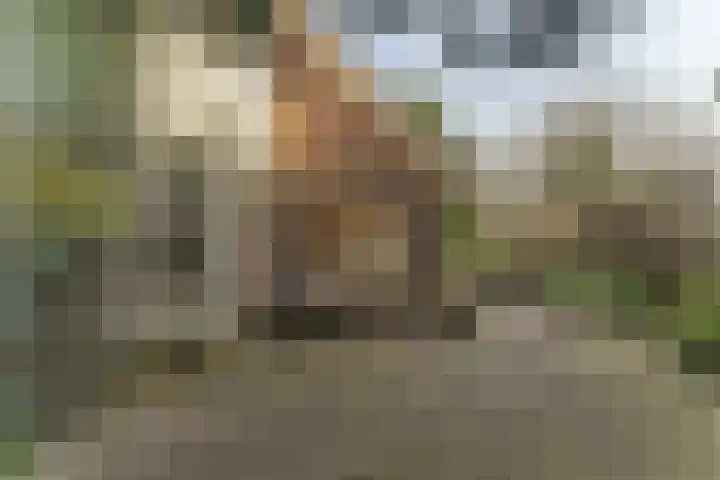 Oranje Nassaulaan 5 Andijk thumbnail 59