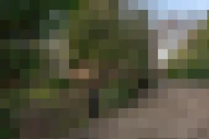 Oranje Nassaulaan 5 Andijk thumbnail 6