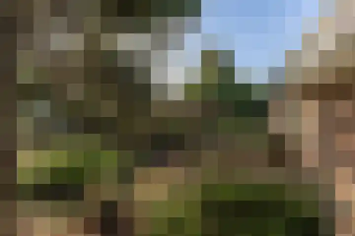 Oranje Nassaulaan 5 Andijk thumbnail 60