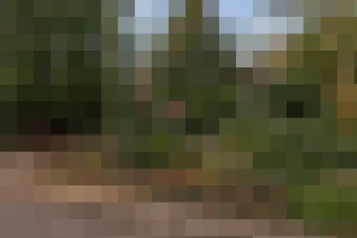 Oranje Nassaulaan 5 Andijk thumbnail 62