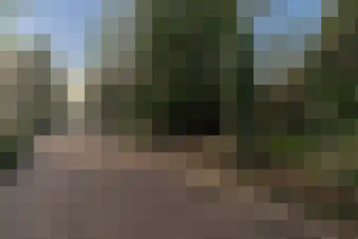 Oranje Nassaulaan 5 Andijk thumbnail 63