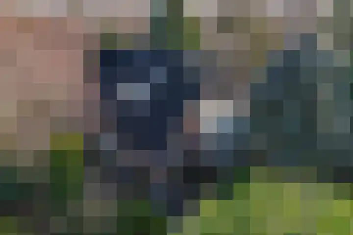 Oranje Nassaulaan 5 Andijk thumbnail 65