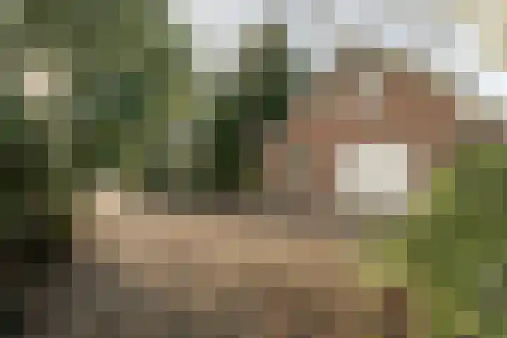 Oranje Nassaulaan 5 Andijk thumbnail 7