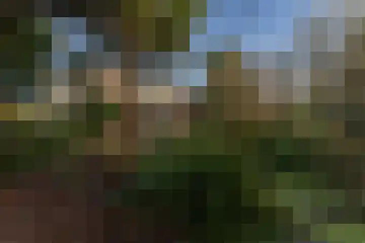 Oranje Nassaulaan 5 Andijk thumbnail 8