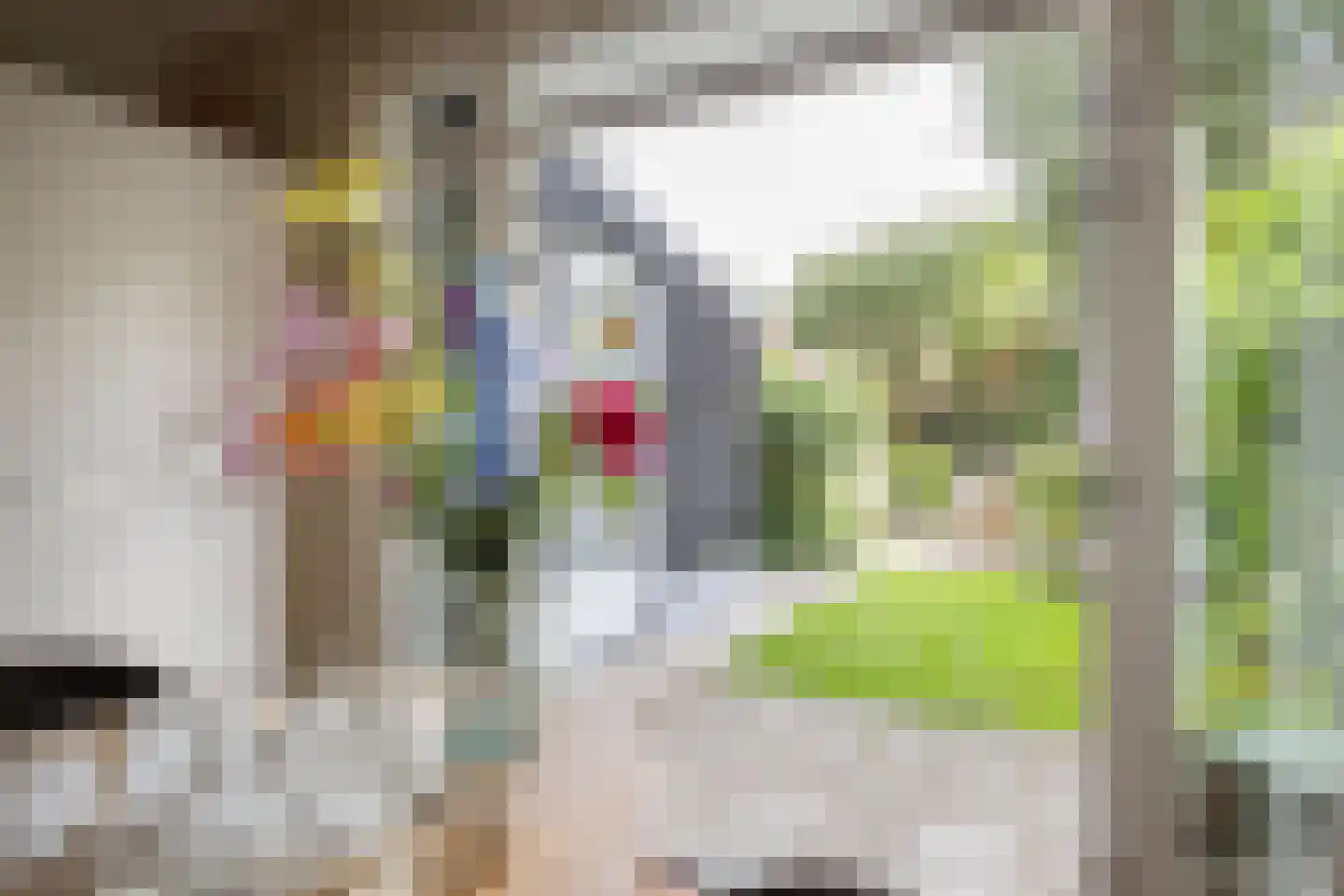 Oranje Nassaulaan 5 Bilthoven thumbnail 12