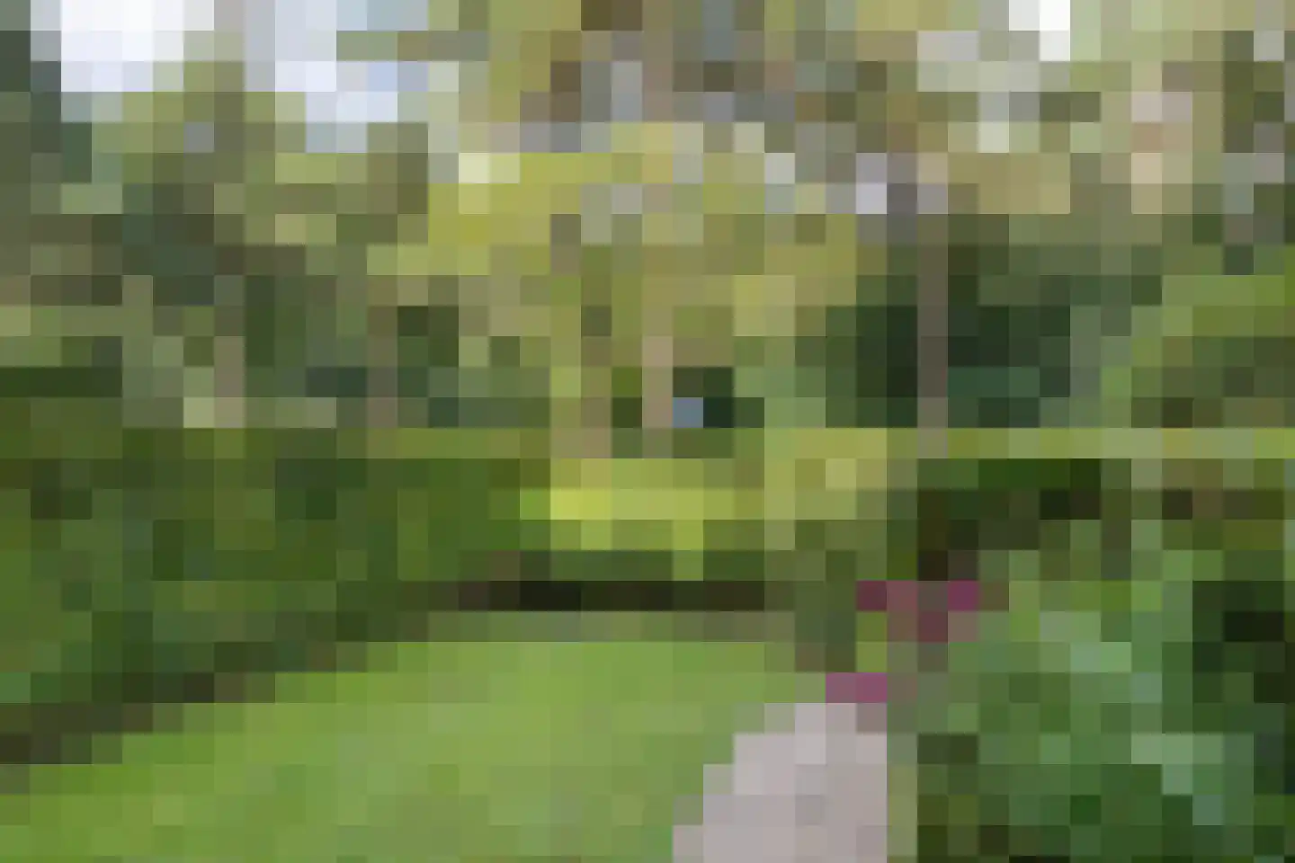 Oranje Nassaulaan 5 Bilthoven thumbnail 4