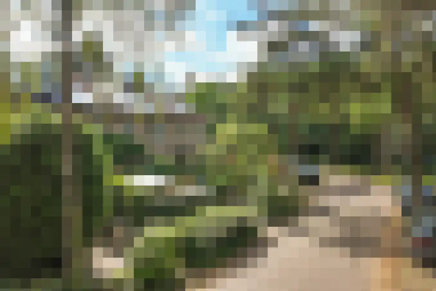 Oranje Nassaulaan 5 Bilthoven thumbnail 53