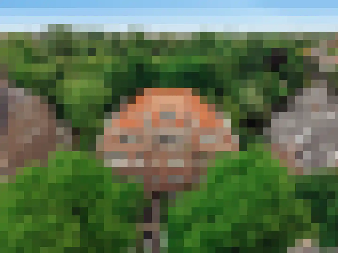 Oranje Nassaulaan 50 2 Amsterdam thumbnail 42