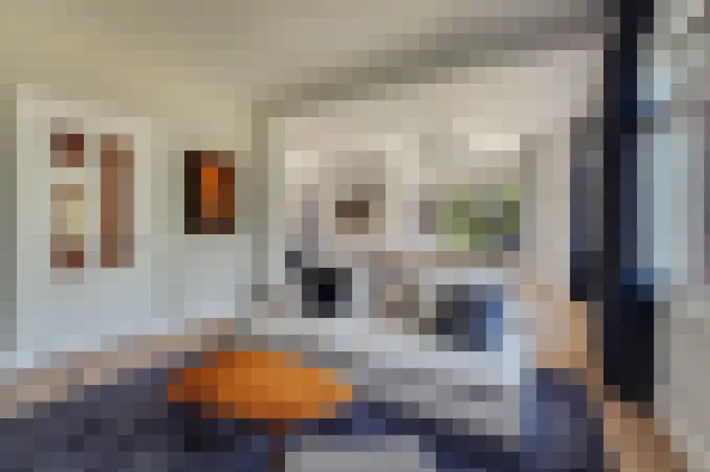 Oranje Nassaulaan 50 2 Amsterdam thumbnail 6