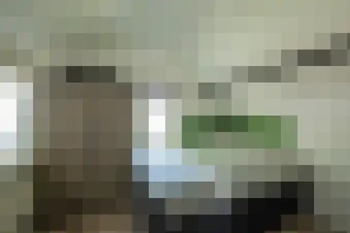 Oranje Nassaulaan 50 Leerdam thumbnail 30