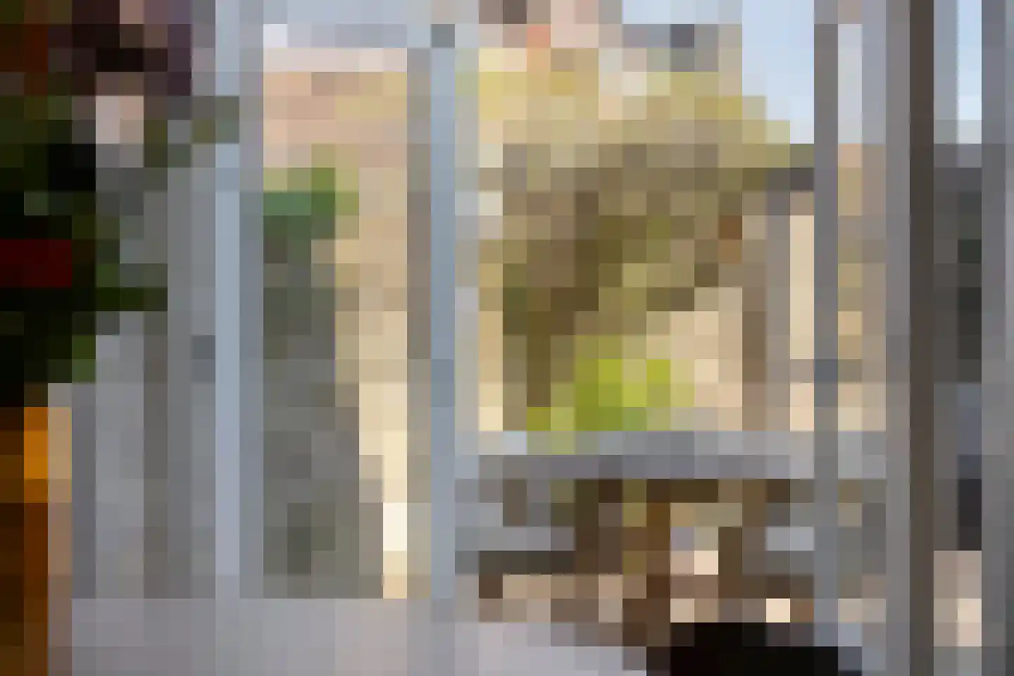 Oranje-Nassaulaan 51 Utrecht thumbnail 16
