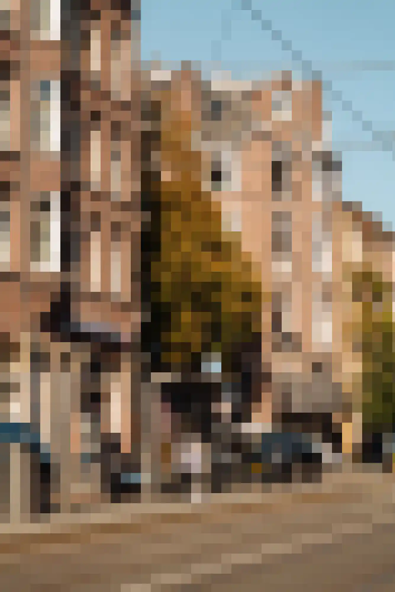 Oranje Nassaulaan 53 3 Amsterdam thumbnail 37