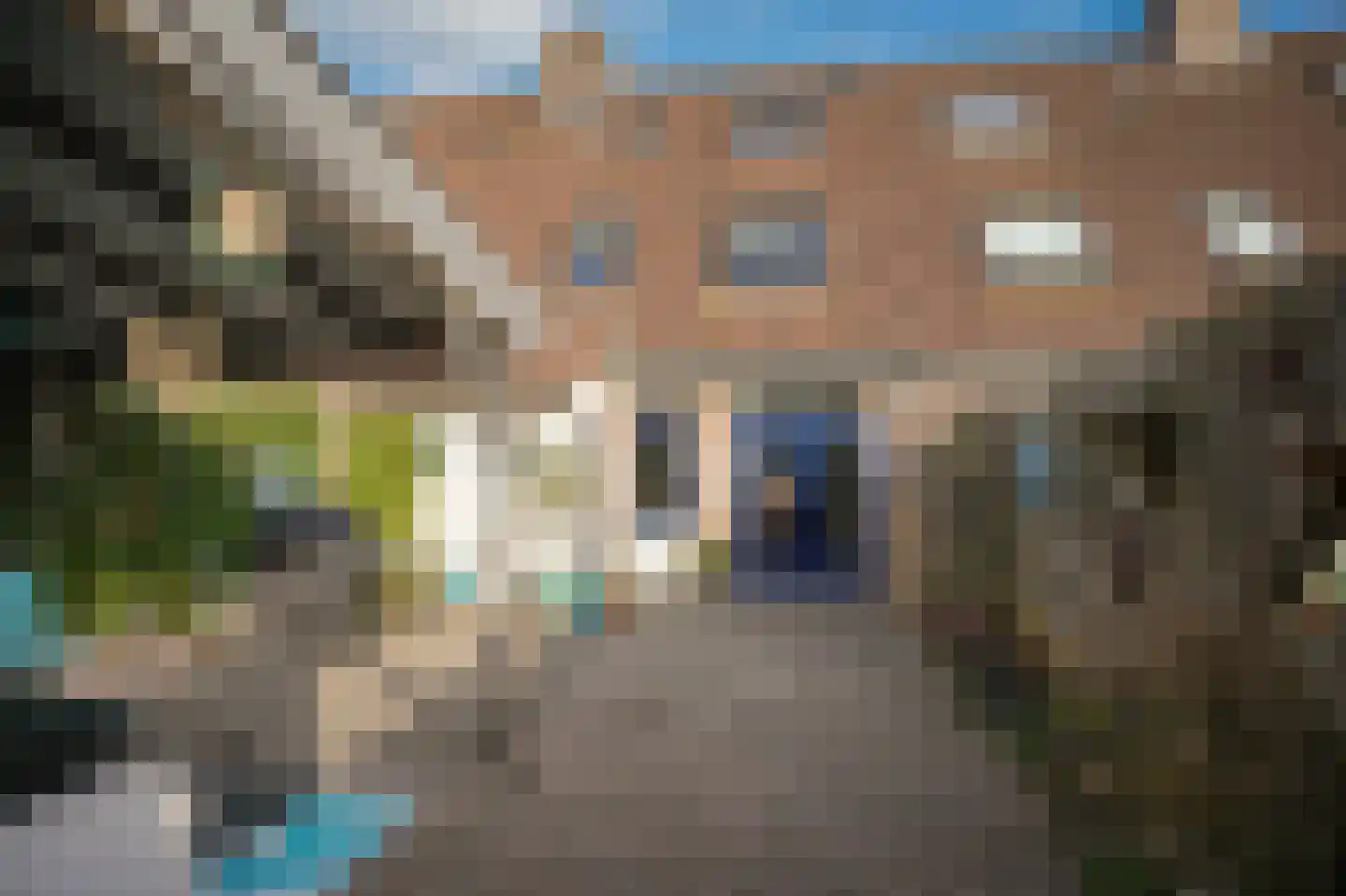 Oranje Nassaulaan 53 Leerdam thumbnail 26