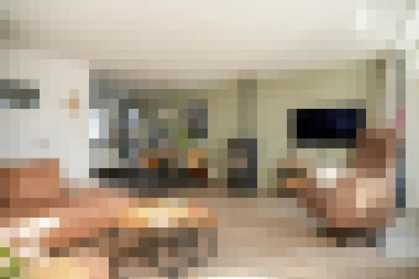 Oranje Nassaulaan 53 Leerdam foto 3