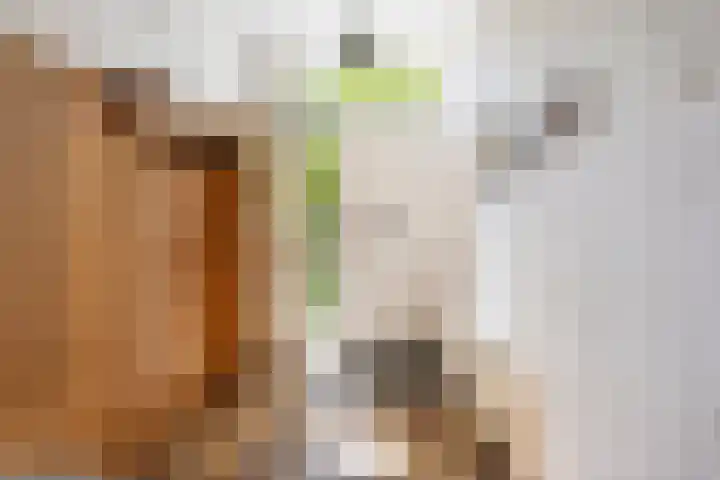 Oranje Nassaulaan 53 Overveen thumbnail 14