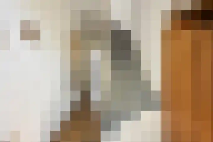 Oranje Nassaulaan 53 Overveen thumbnail 15