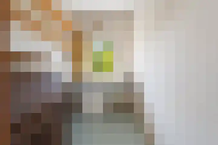 Oranje Nassaulaan 53 Overveen thumbnail 17
