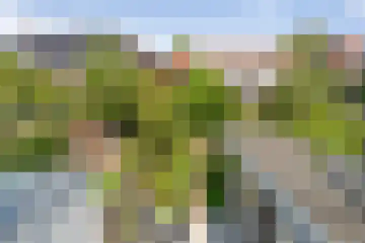 Oranje Nassaulaan 53 Overveen thumbnail 25