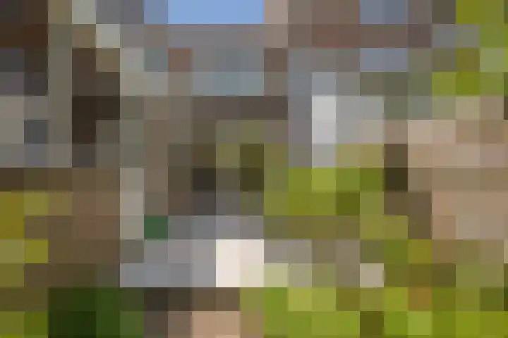 Oranje Nassaulaan 53 Overveen thumbnail 29