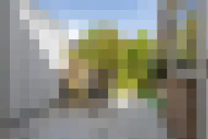 Oranje Nassaulaan 53 Overveen thumbnail 30