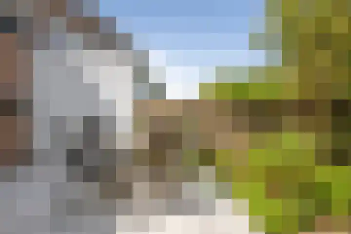 Oranje Nassaulaan 53 Overveen thumbnail 31