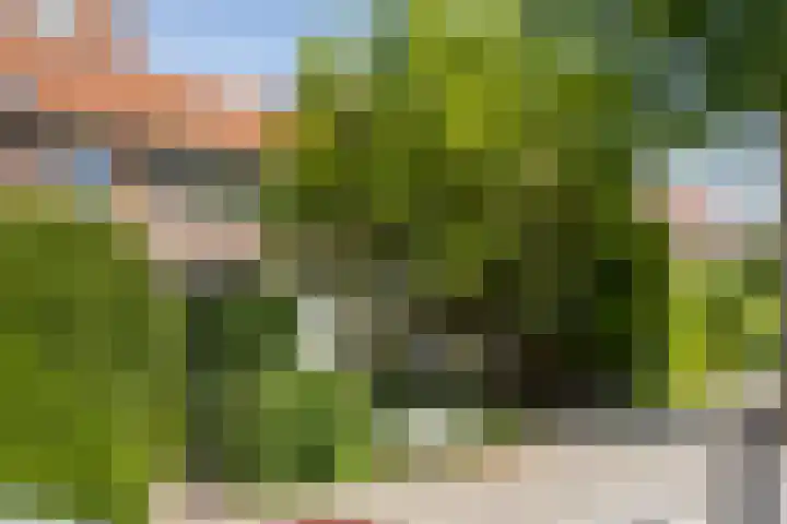 Oranje Nassaulaan 53 Overveen thumbnail 34