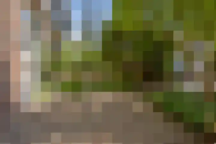 Oranje Nassaulaan 53 Overveen thumbnail 37