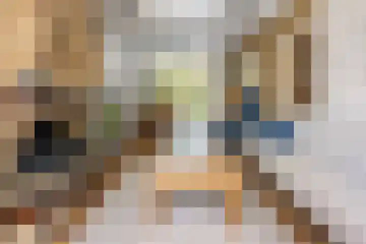 Oranje Nassaulaan 53 Overveen thumbnail 5